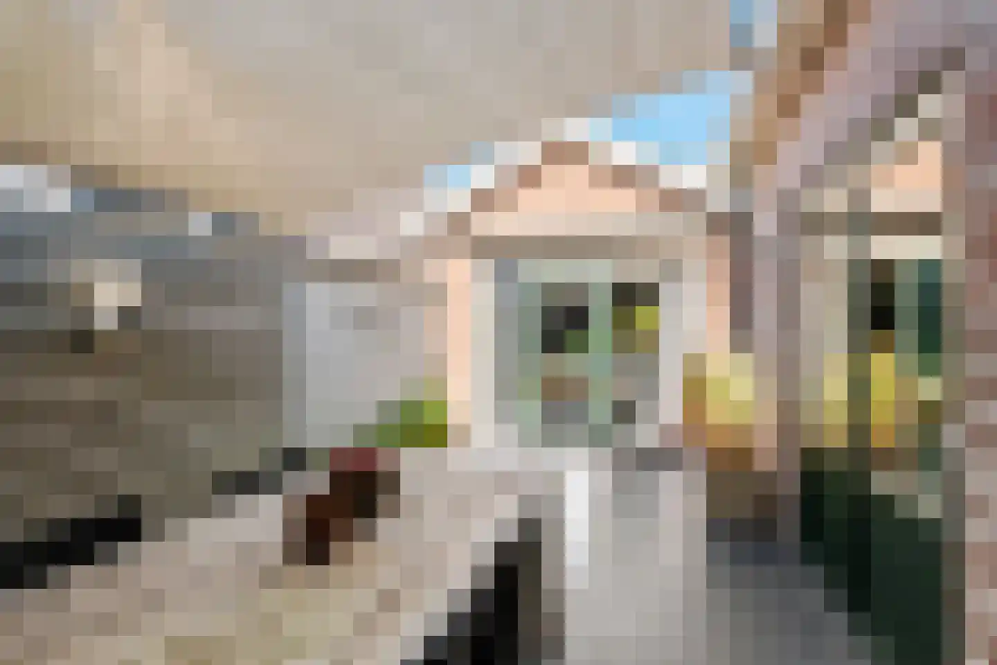 Groenestraat 45 Lienden thumbnail 46