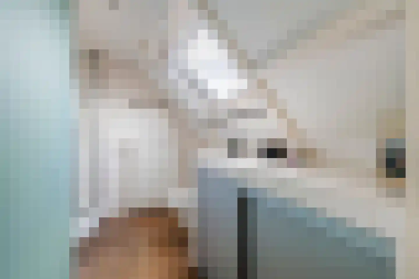 Groenestraat 45 Lienden thumbnail 52