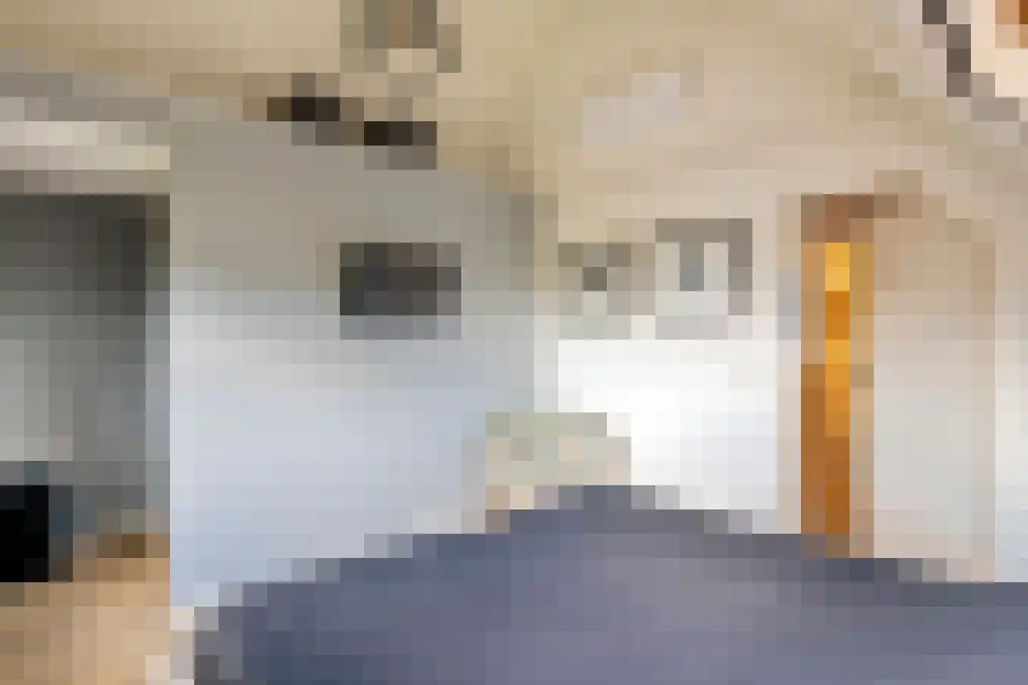 Groenestraat 45 Lienden thumbnail 60