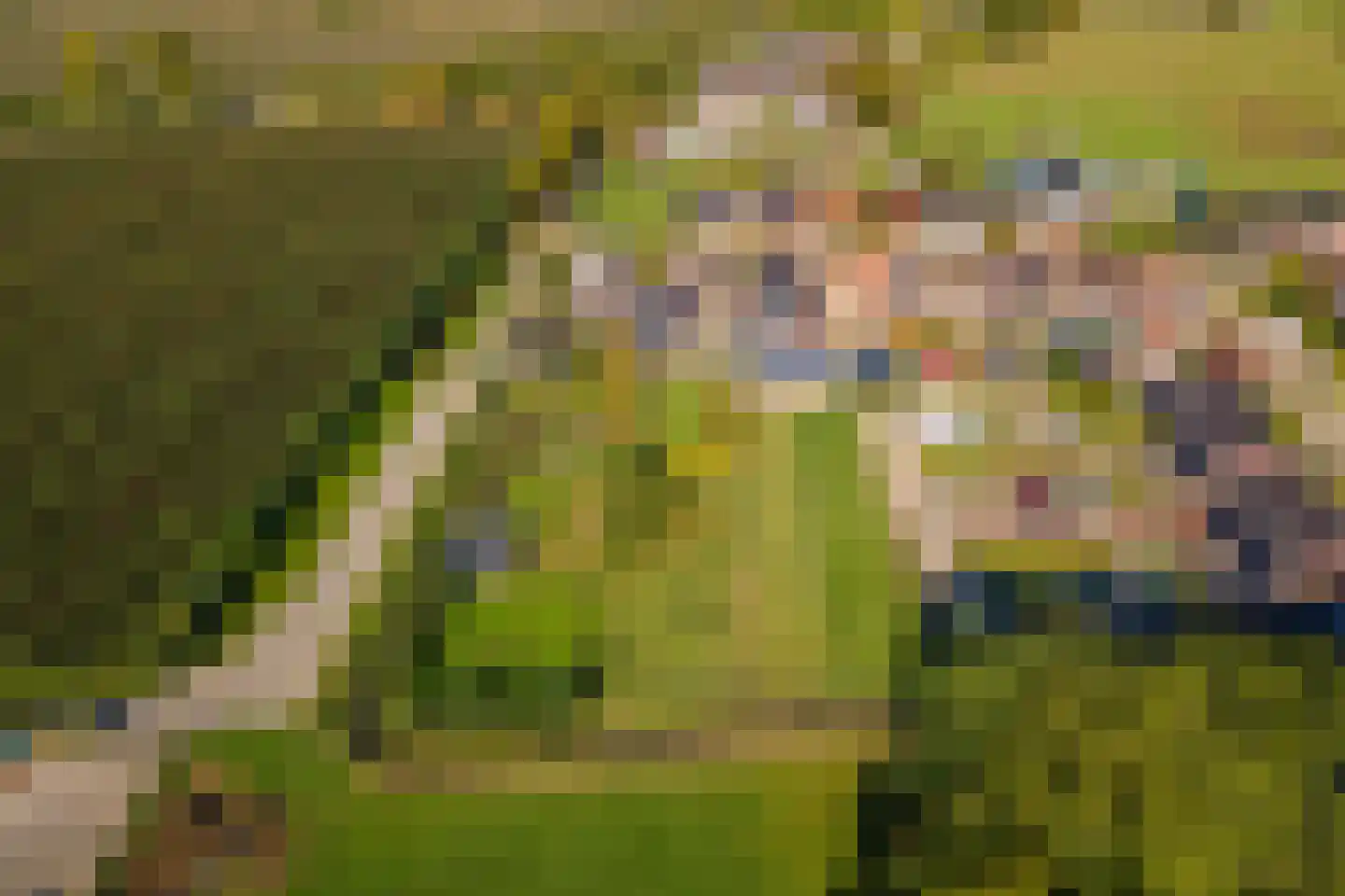 Groenestraat 45 Lienden thumbnail 75