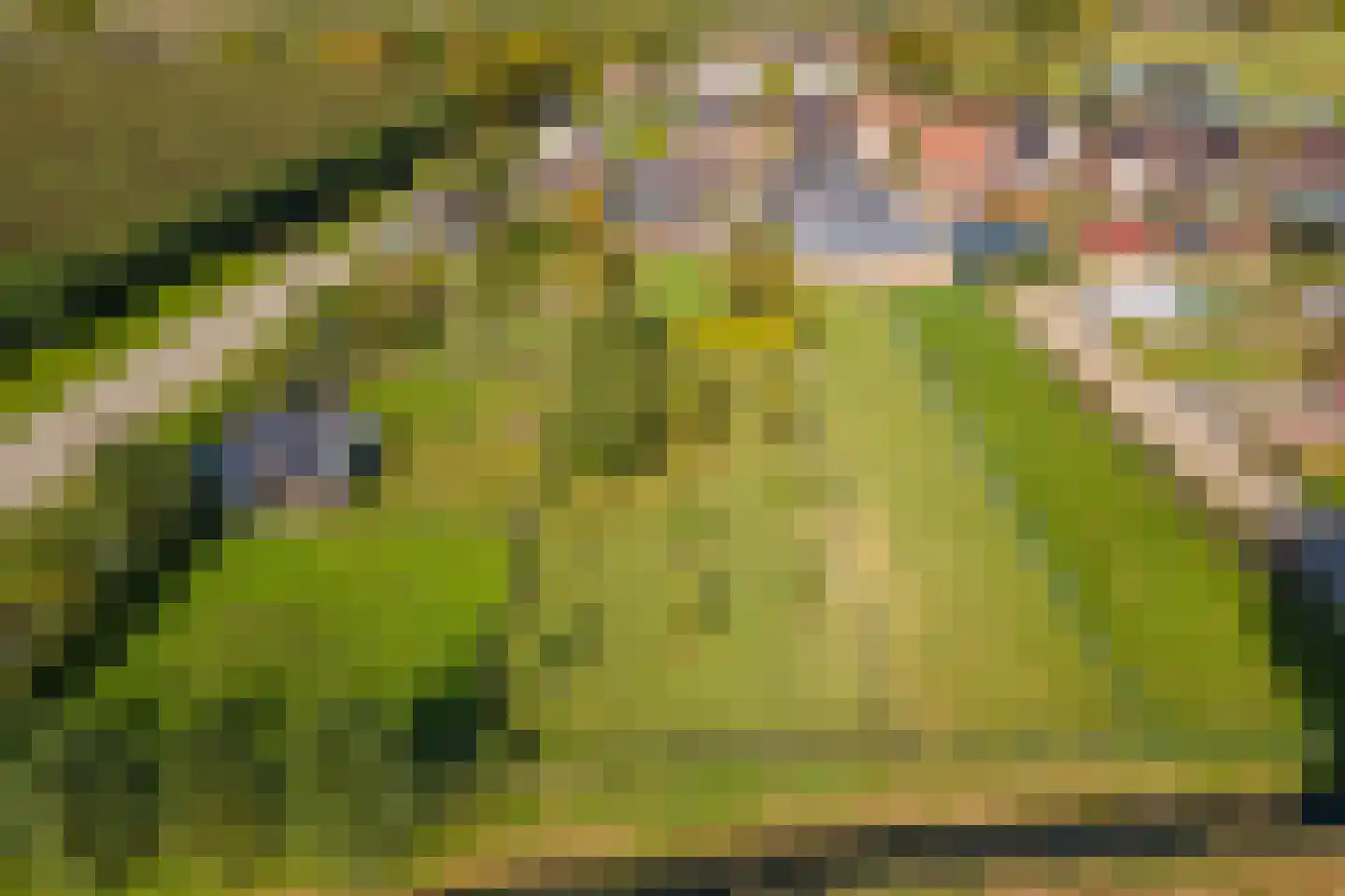 Groenestraat 45 Lienden thumbnail 77