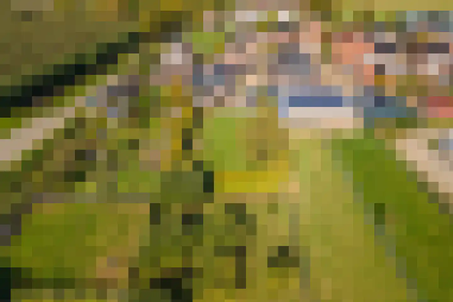 Groenestraat 45 Lienden thumbnail 78