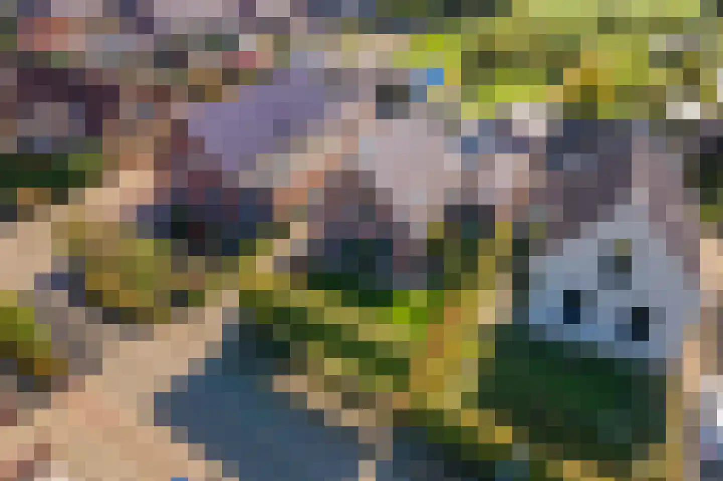Groenestraat 45 Lienden thumbnail 80