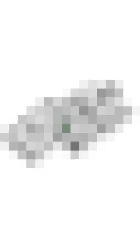 Groenestraat 45 Lienden thumbnail 83