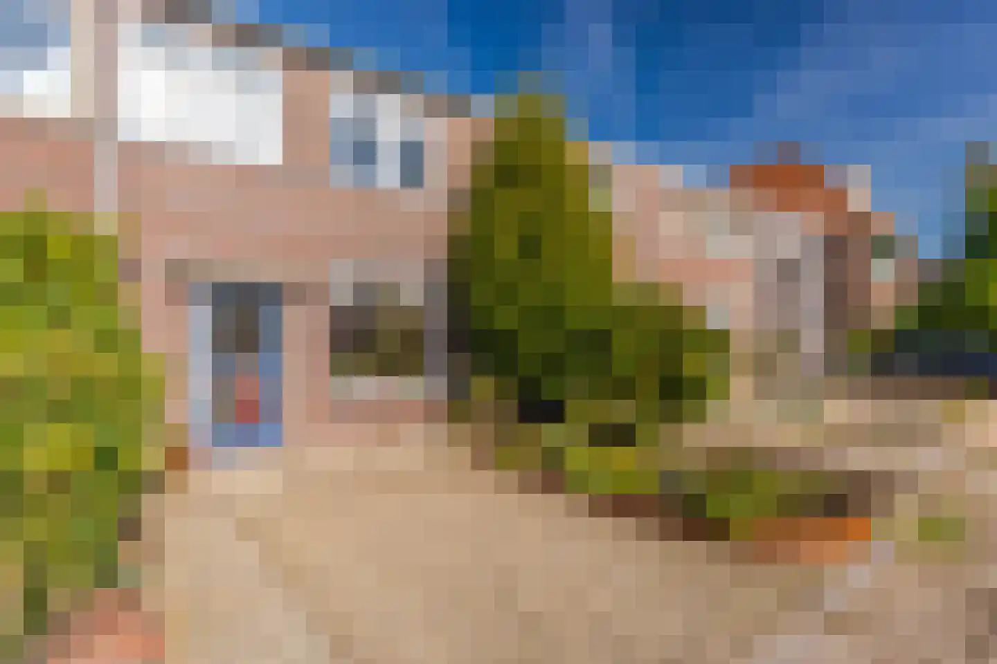 Groenestraat 46 Elst thumbnail 10