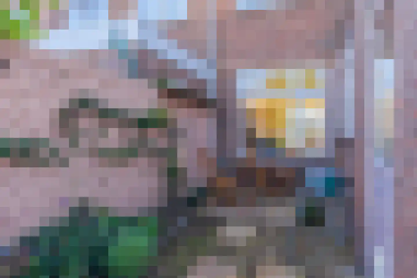 Groenestraat 46 Elst thumbnail 22