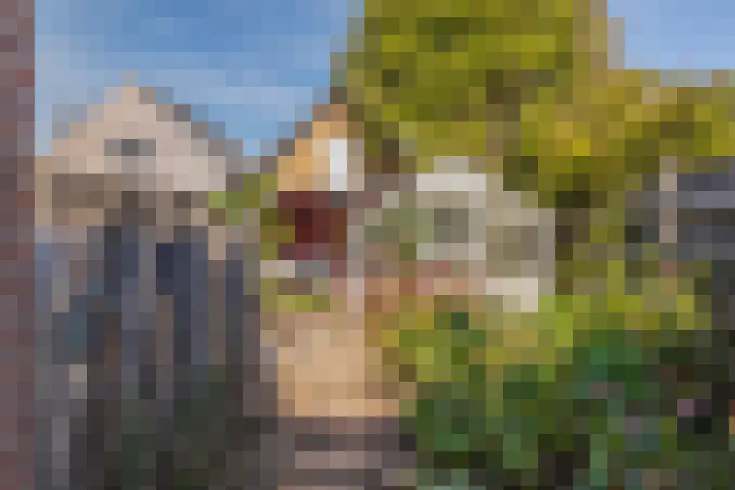 Groenestraat 46 Elst thumbnail 23