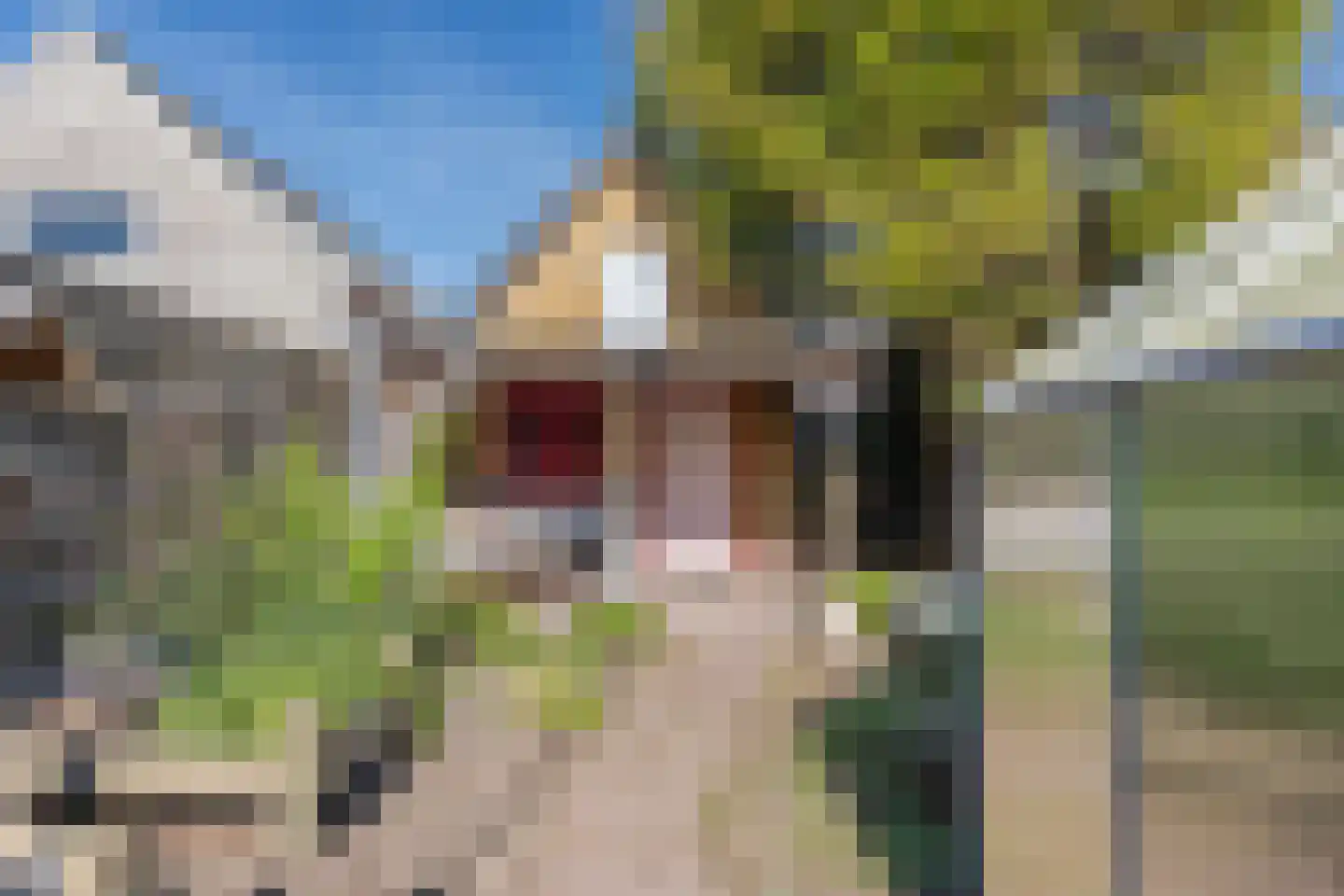 Groenestraat 46 Elst thumbnail 24