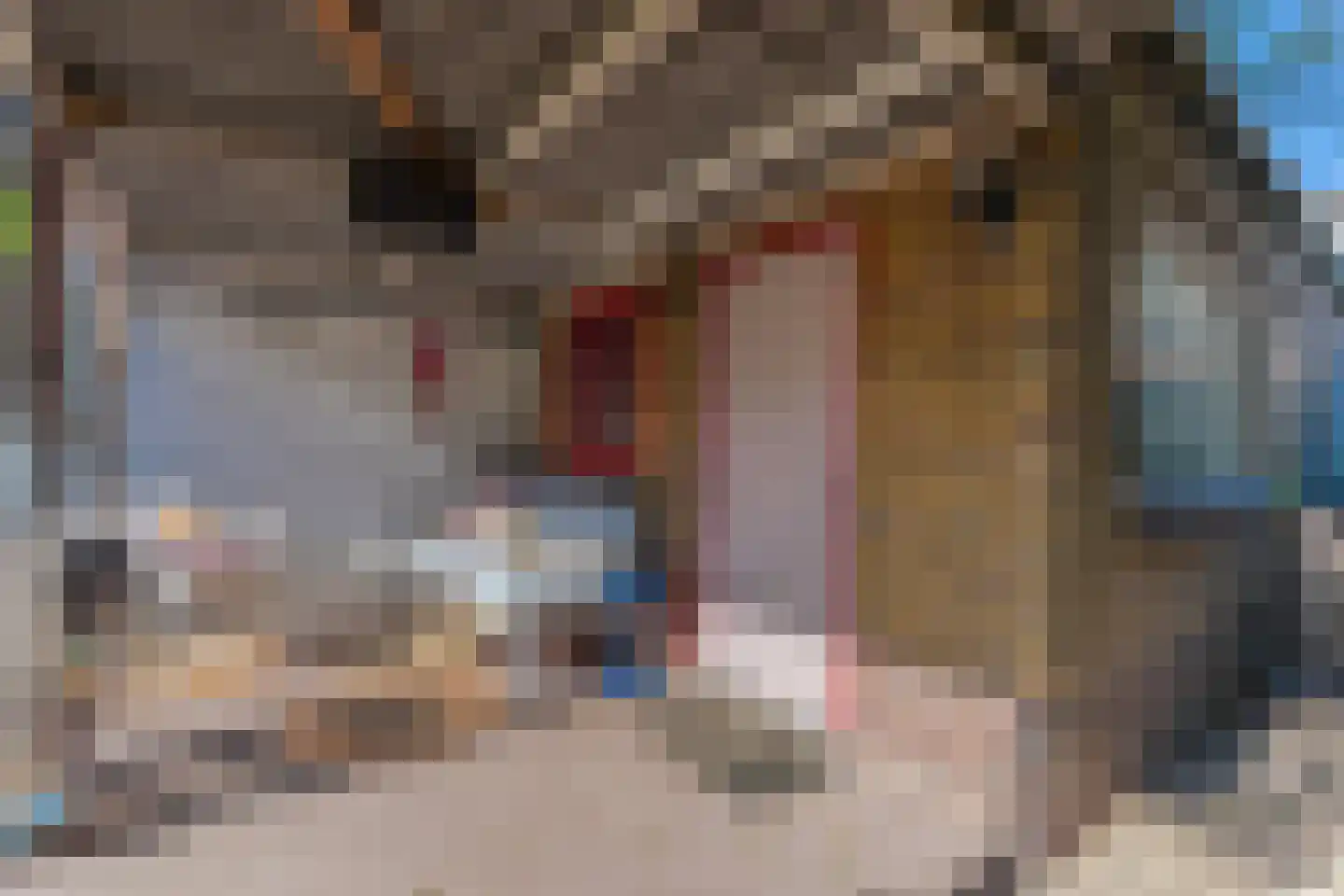 Groenestraat 46 Elst thumbnail 25