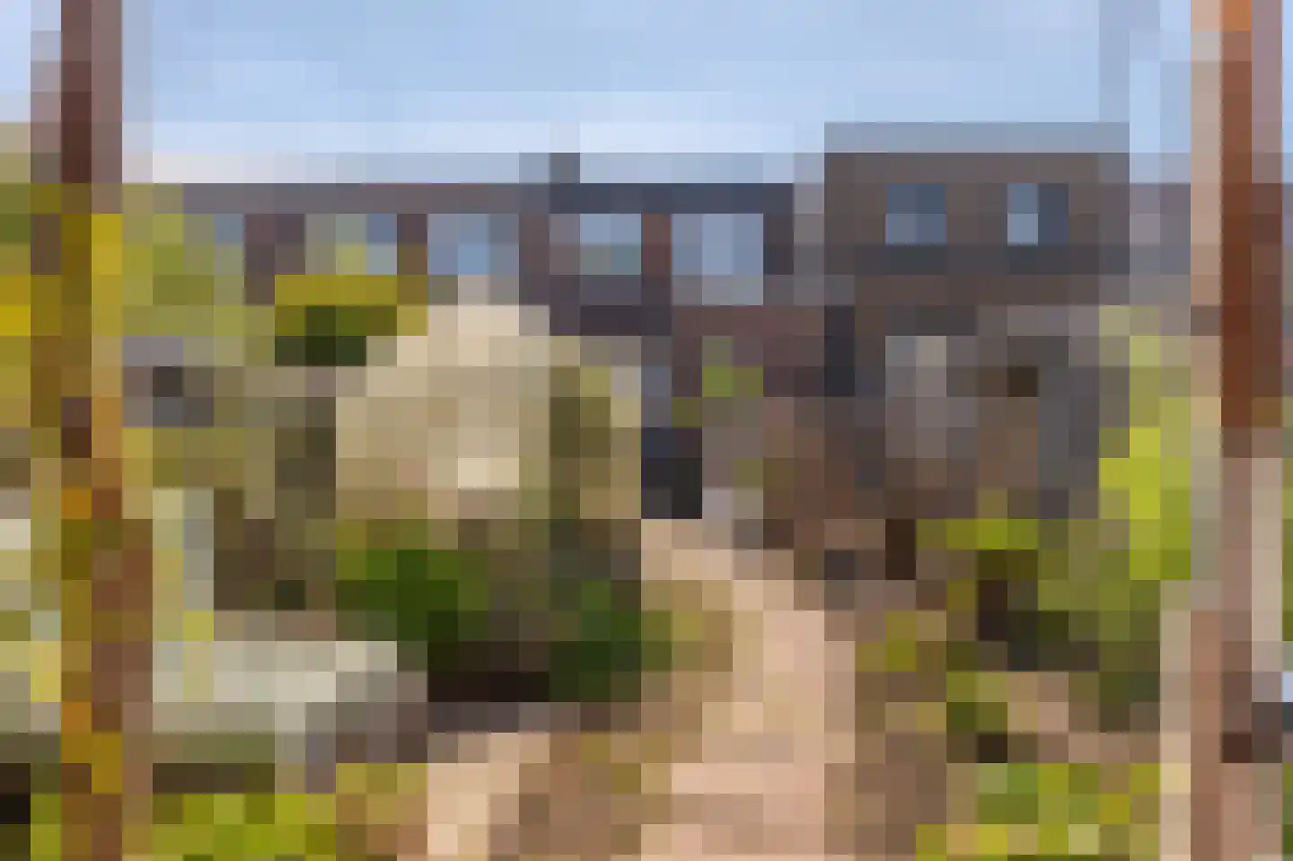 Groenestraat 46 Elst thumbnail 5