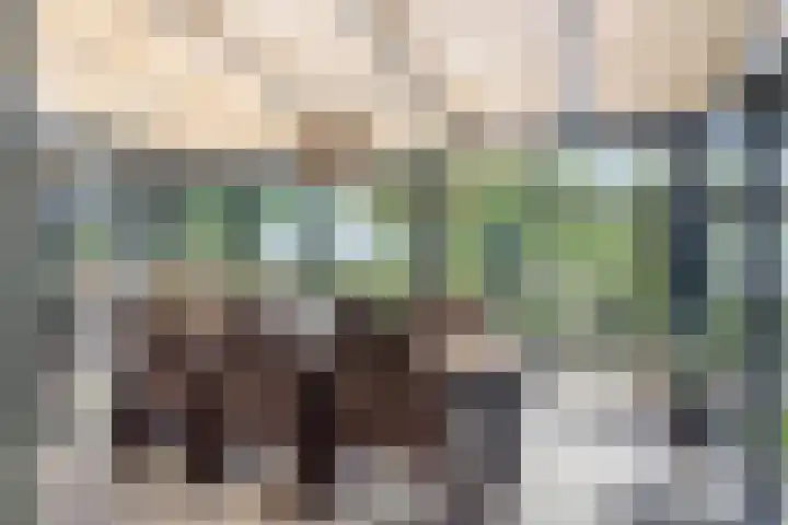 Groenestraat 5 a Dodewaard thumbnail 18