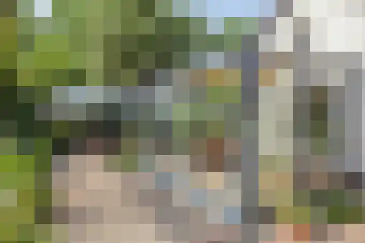 Groenestraat 5 a Dodewaard thumbnail 19