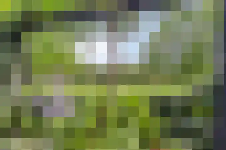 Groenestraat 5 a Dodewaard thumbnail 32