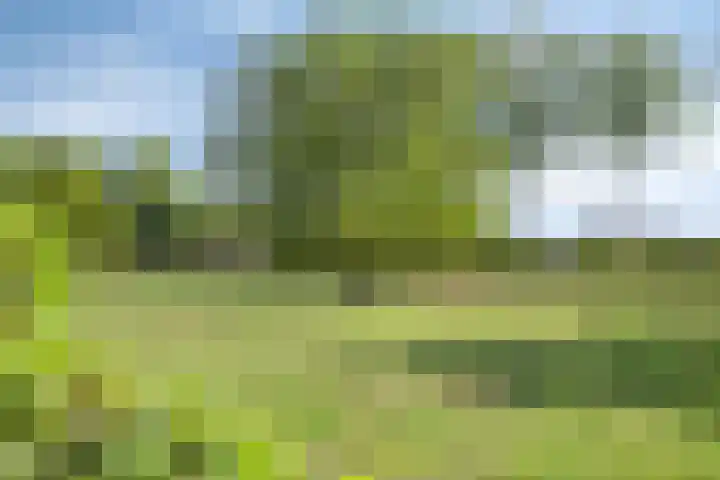 Groenestraat 5 a Dodewaard thumbnail 33