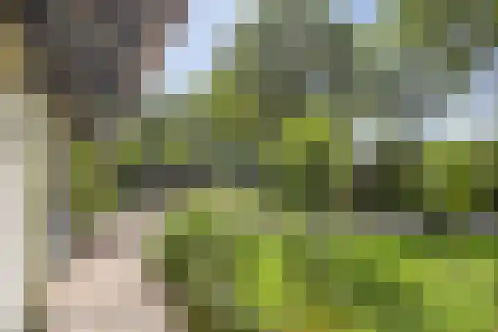 Groenestraat 5 a Dodewaard thumbnail 34
