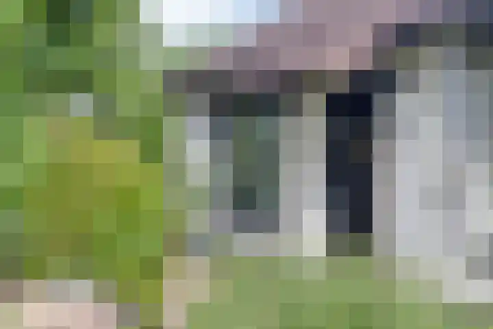 Groenestraat 5 a Dodewaard thumbnail 35