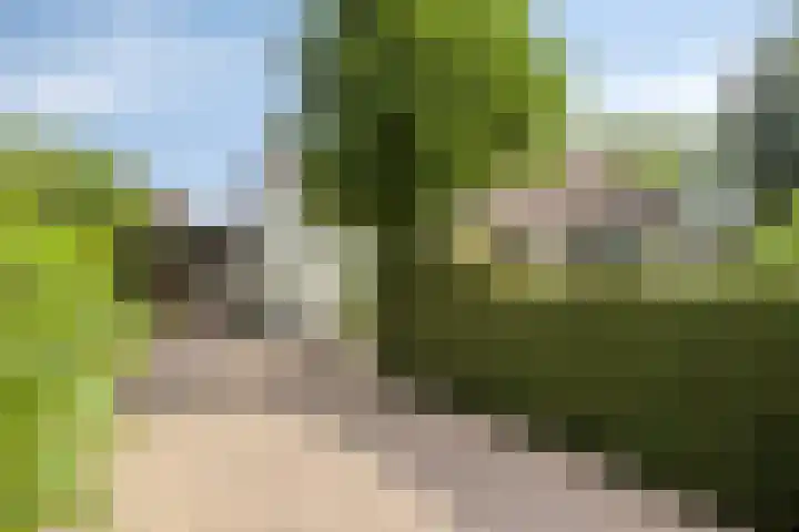 Groenestraat 5 a Dodewaard thumbnail 36