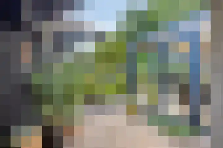 Groenestraat 5 a Dodewaard thumbnail 39
