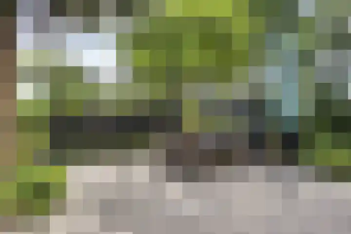 Groenestraat 5 a Dodewaard thumbnail 40