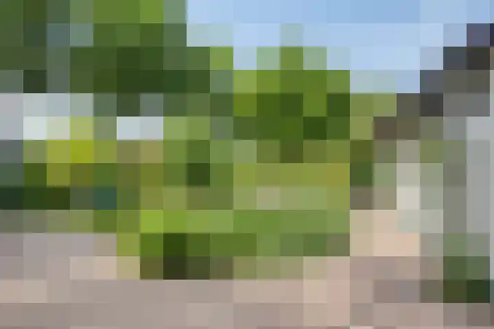 Groenestraat 5 a Dodewaard thumbnail 5