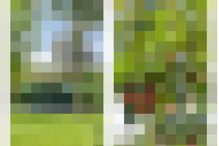 Groenestraat 5 a Dodewaard thumbnail 7