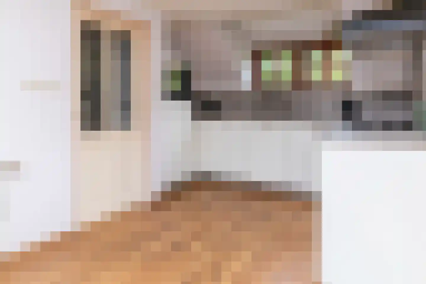 Groenestraat 5 Dodewaard thumbnail 13