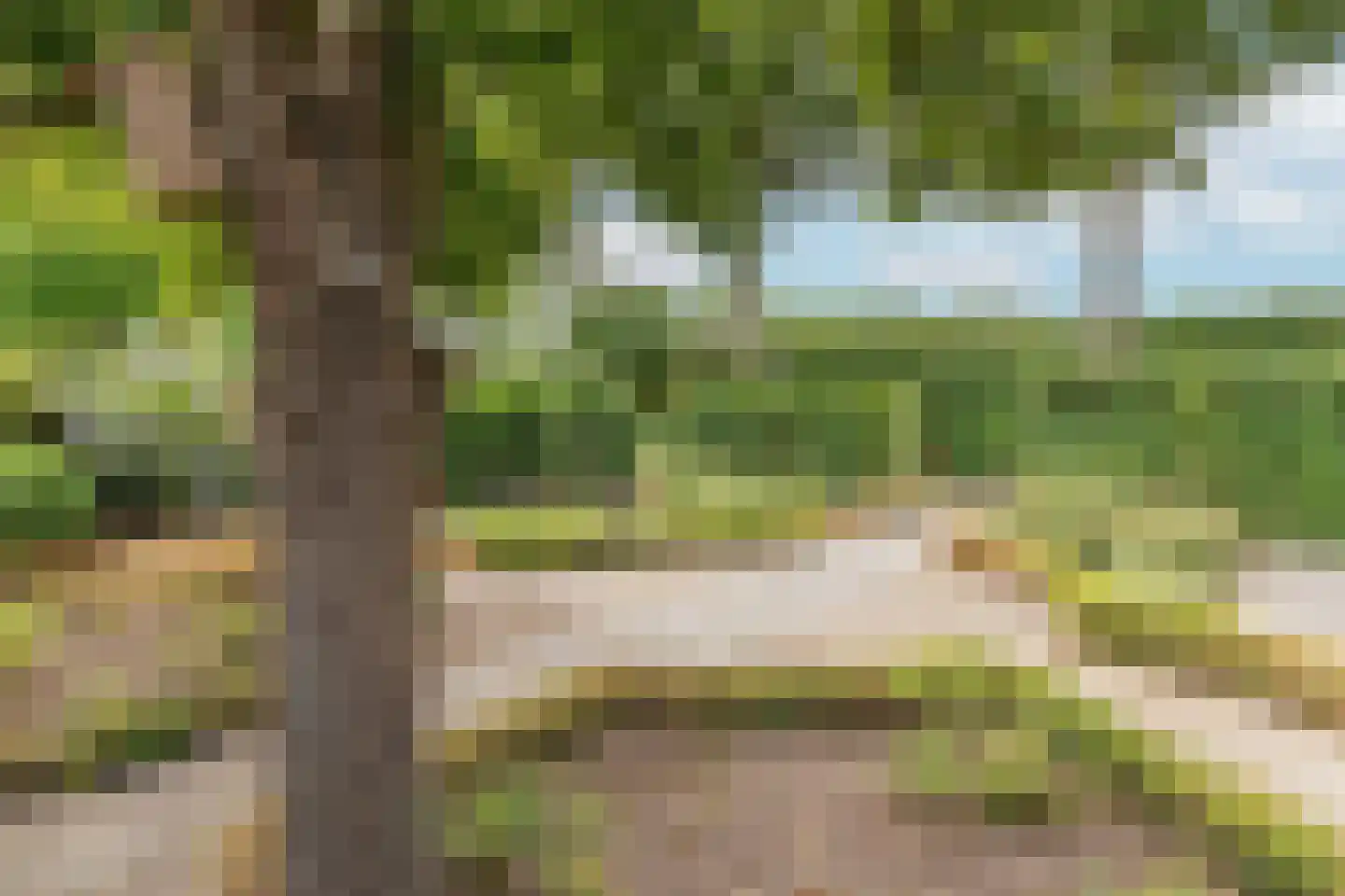 Groenestraat 5 Dodewaard thumbnail 28