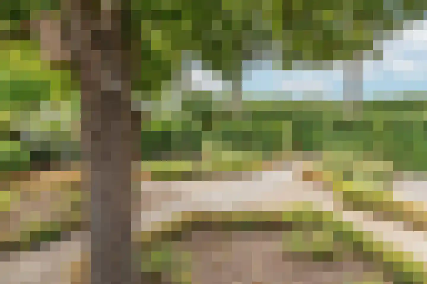 Groenestraat 5 Dodewaard thumbnail 28