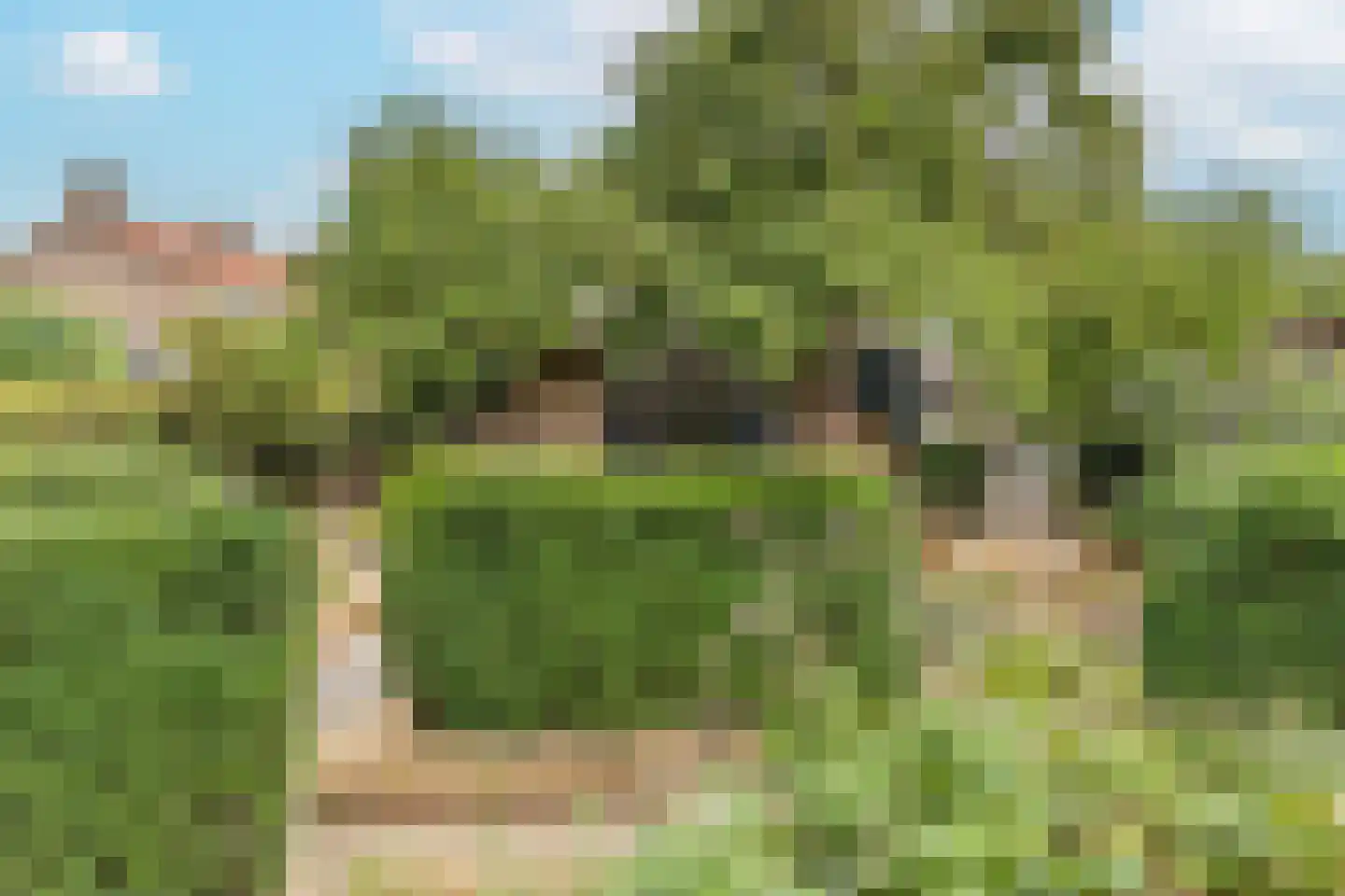Groenestraat 5 Dodewaard thumbnail 33