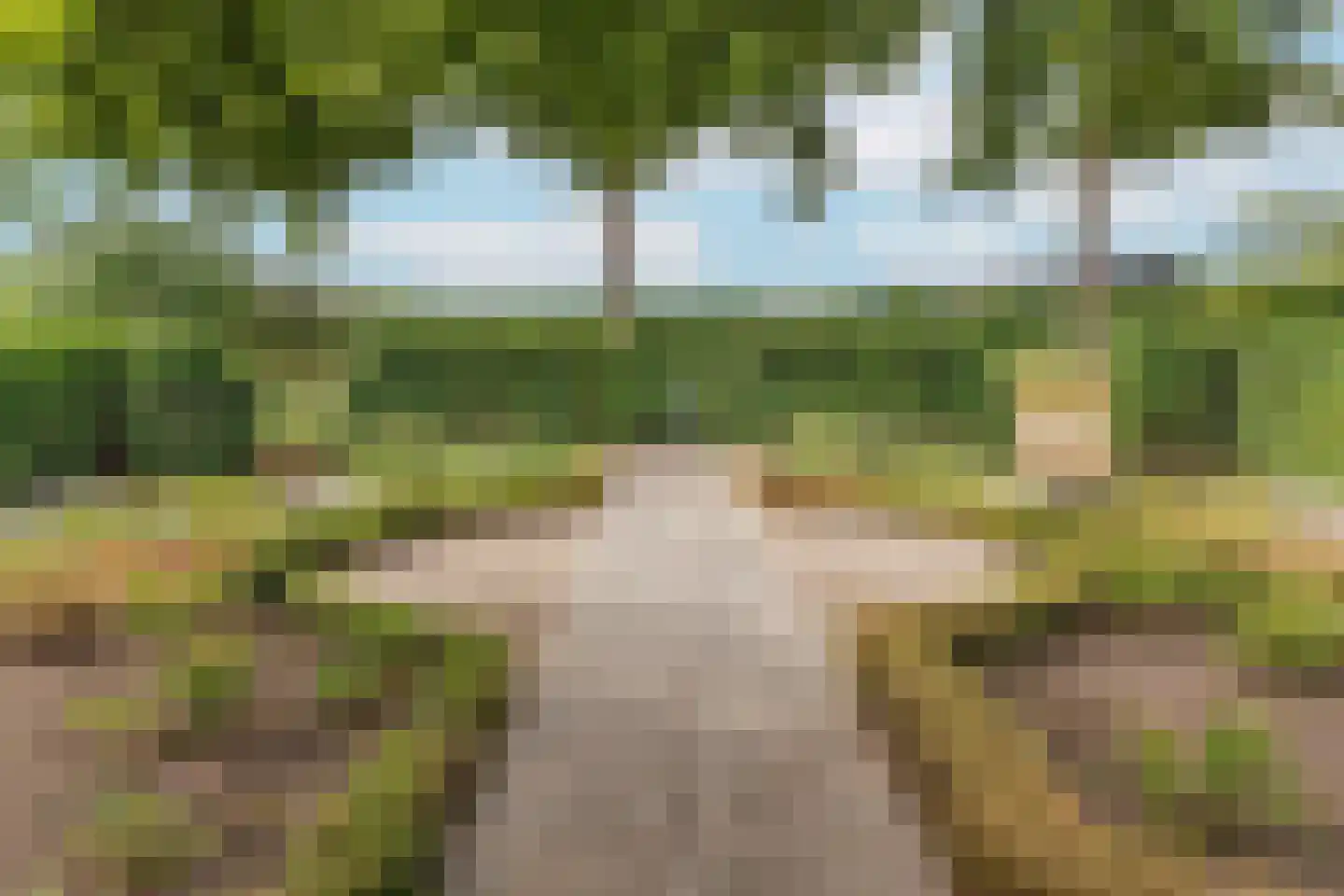 Groenestraat 5 Dodewaard thumbnail 34