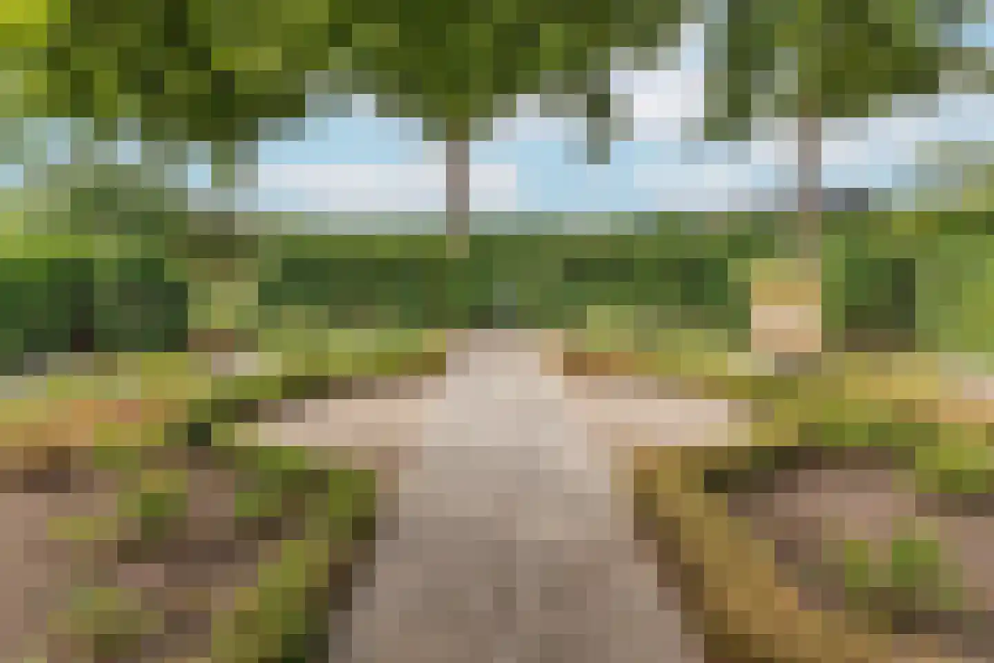 Groenestraat 5 Dodewaard thumbnail 34