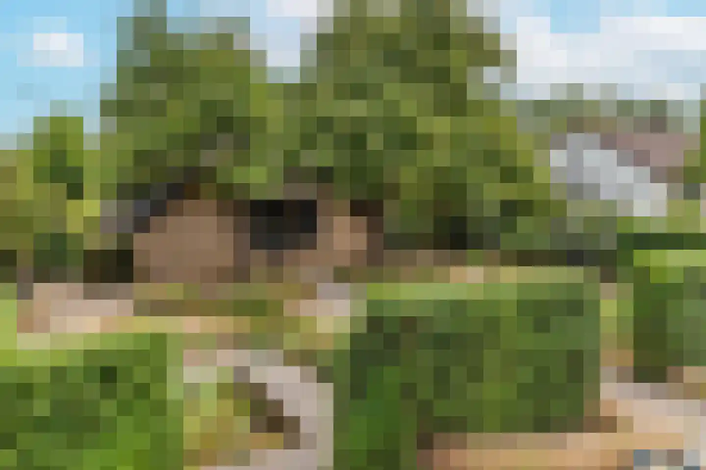 Groenestraat 5 Dodewaard thumbnail 36