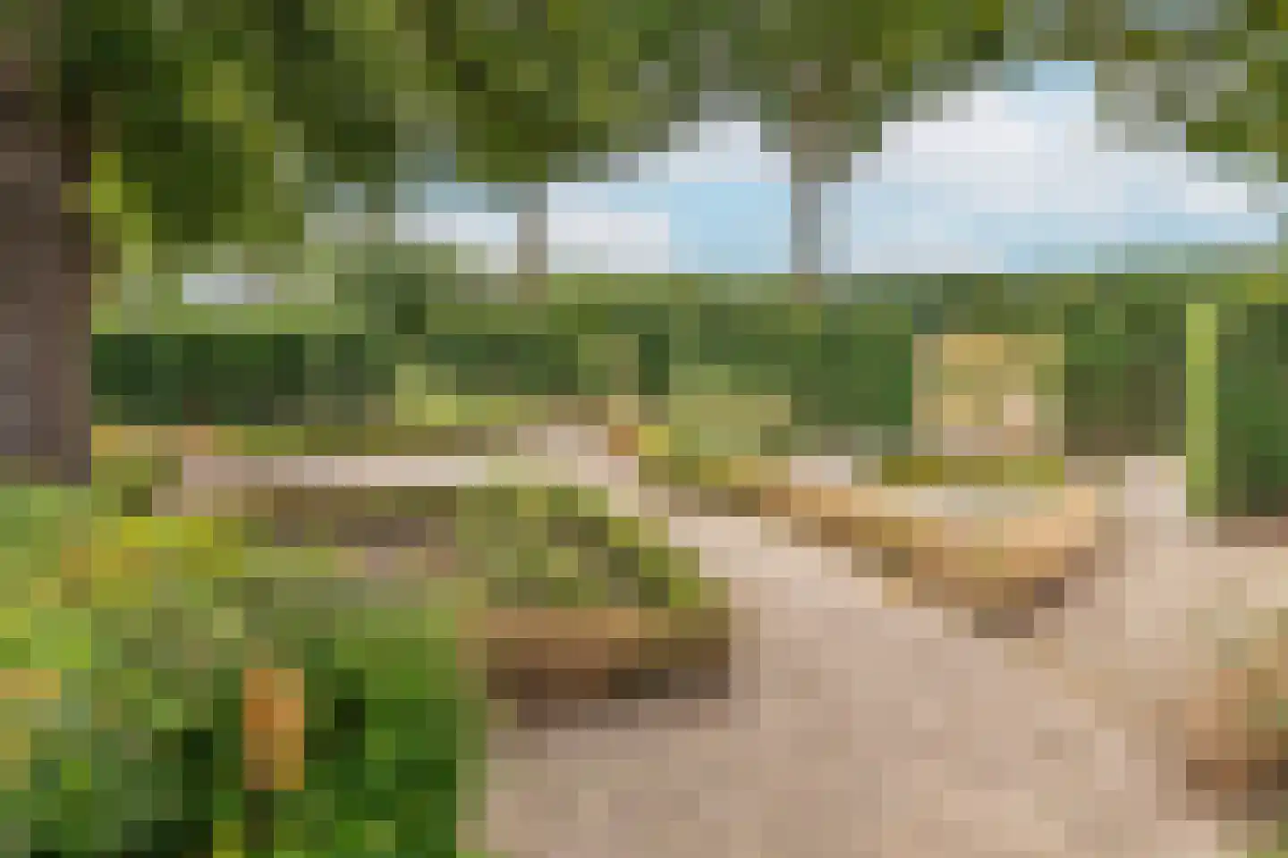 Groenestraat 5 Dodewaard thumbnail 37