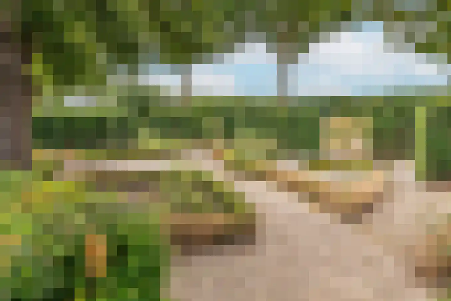 Groenestraat 5 Dodewaard thumbnail 37