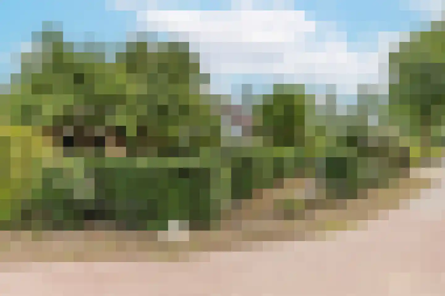Groenestraat 5 Dodewaard thumbnail 39