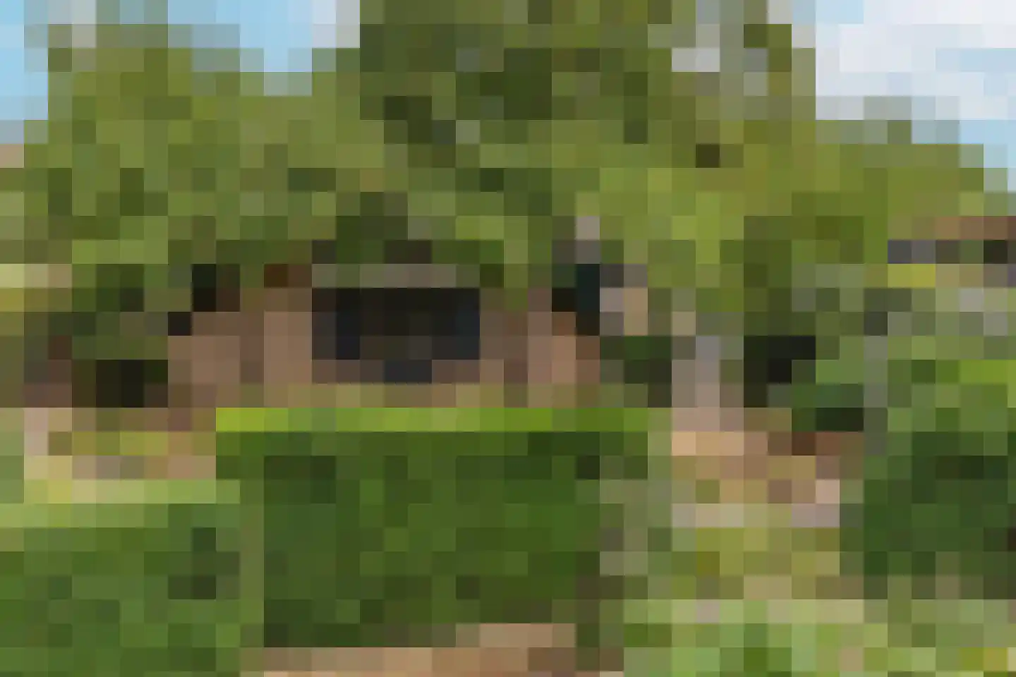 Groenestraat 5 Dodewaard thumbnail 4