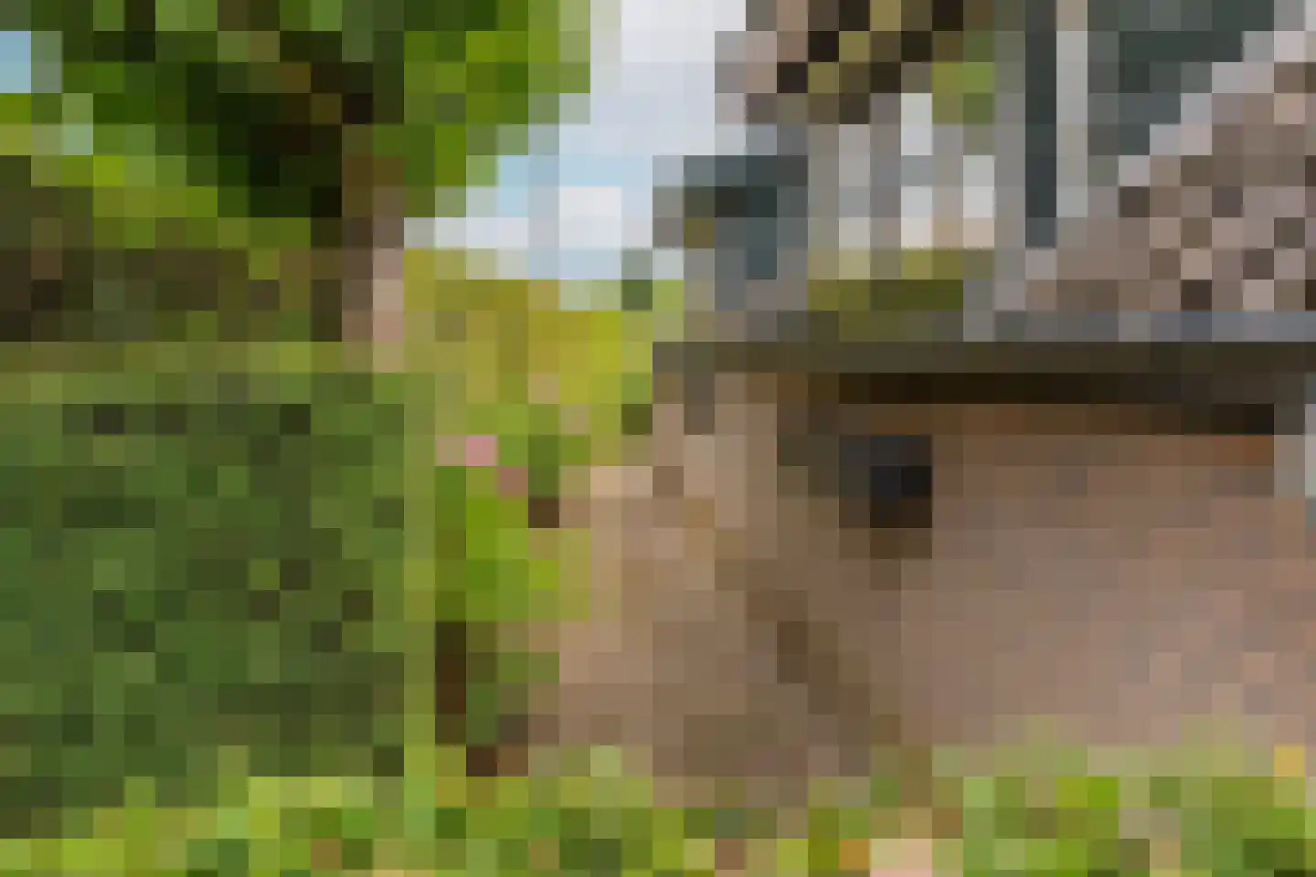 Groenestraat 5 Dodewaard thumbnail 40