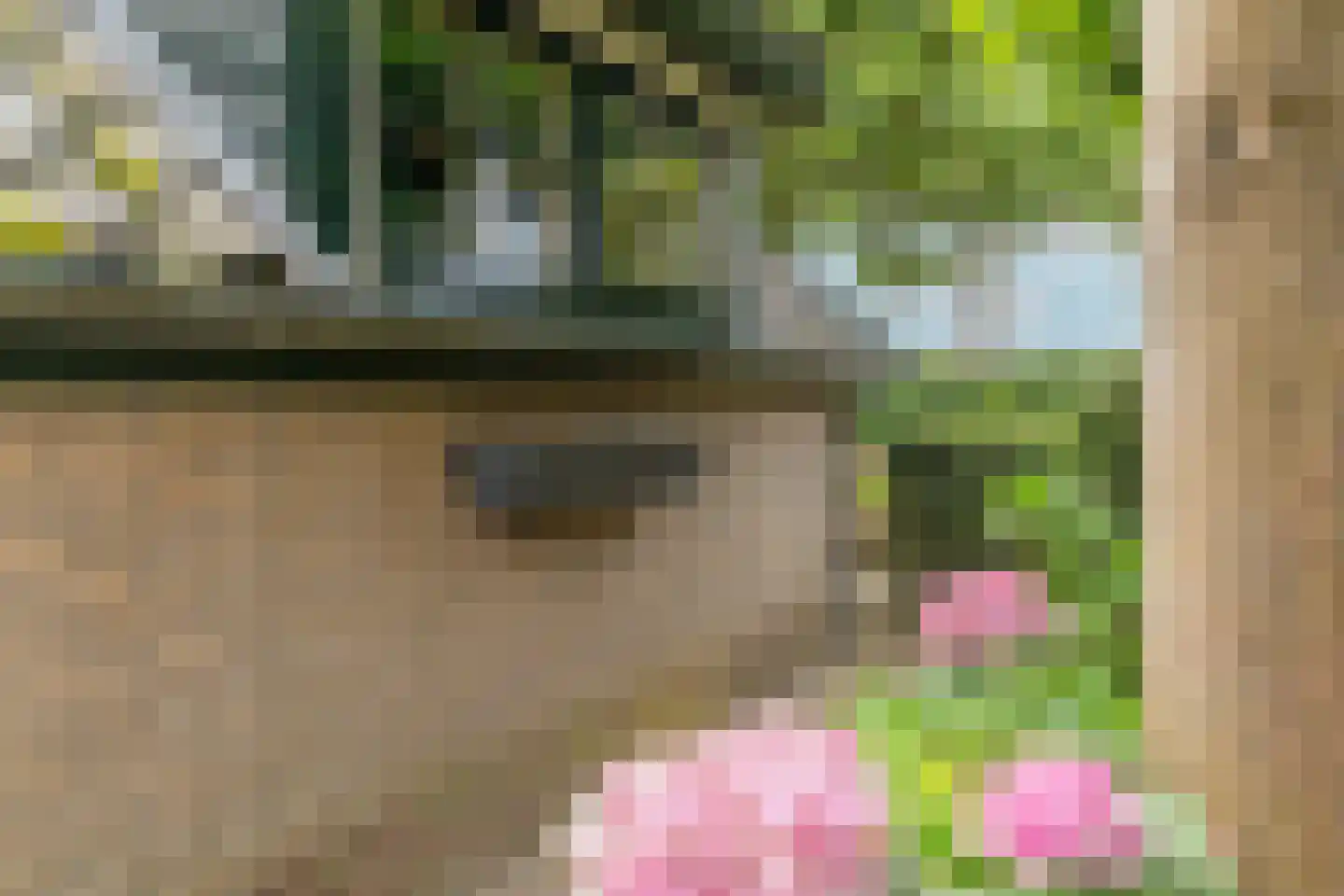 Groenestraat 5 Dodewaard thumbnail 41
