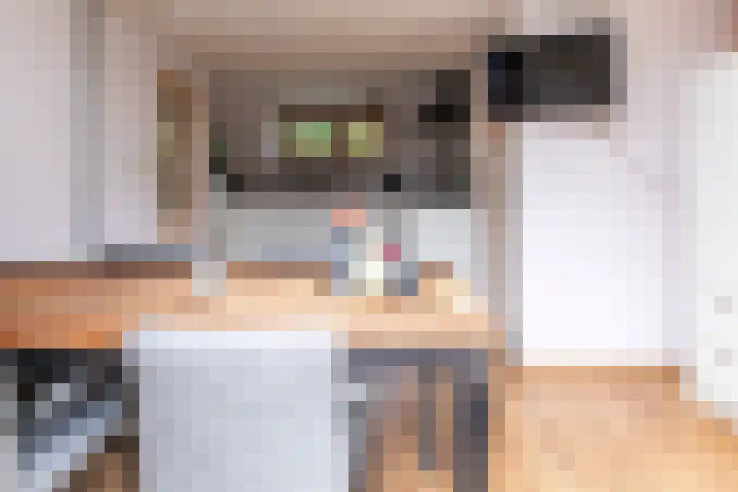 Groenestraat 5 Dodewaard thumbnail 49