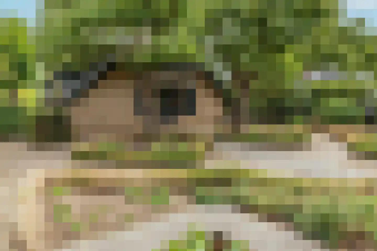 Groenestraat 5 Dodewaard thumbnail 5