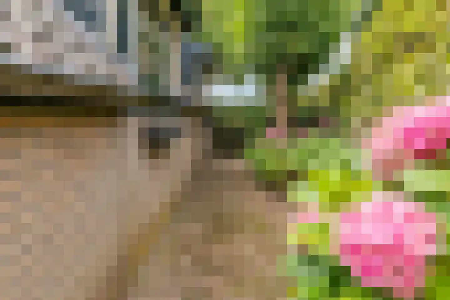 Groenestraat 5 Dodewaard thumbnail 6