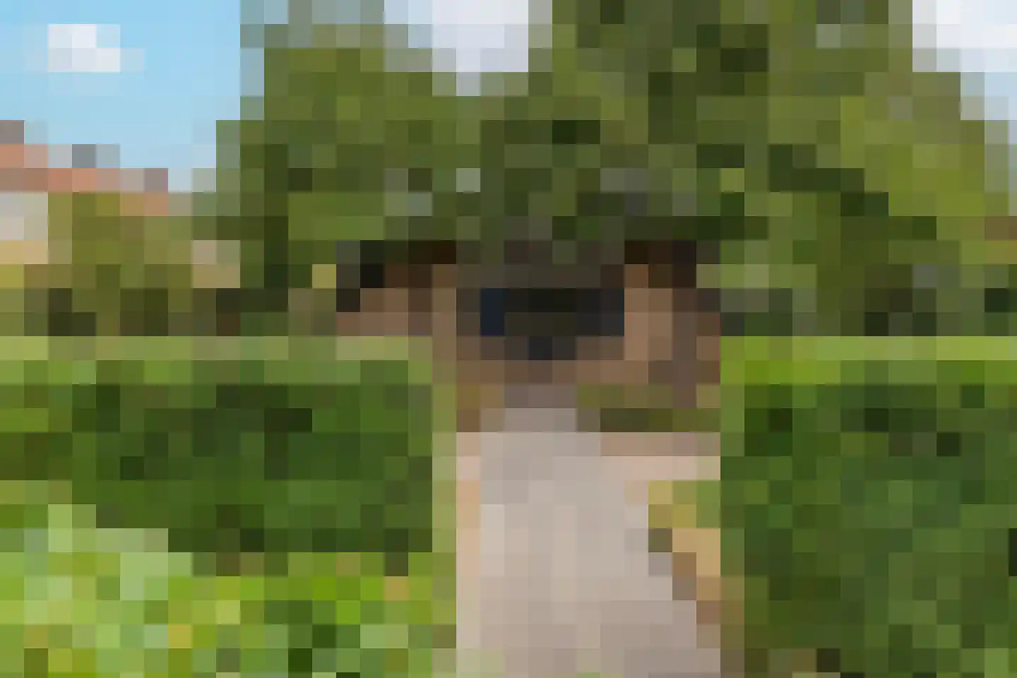 Groenestraat 5 Dodewaard thumbnail 60