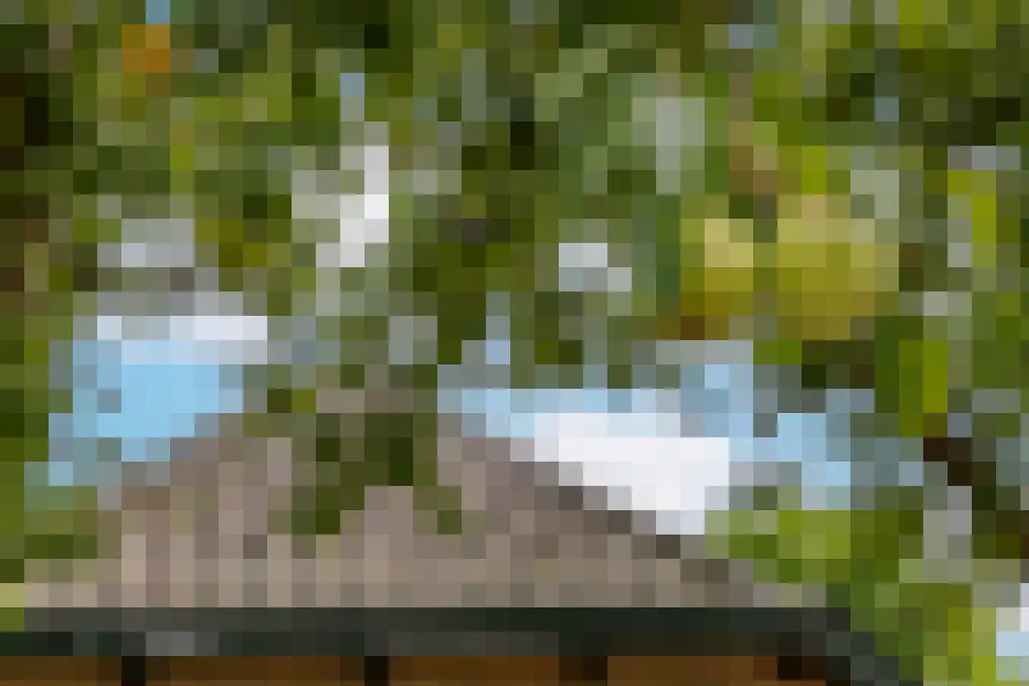 Groenestraat 5 Dodewaard thumbnail 61
