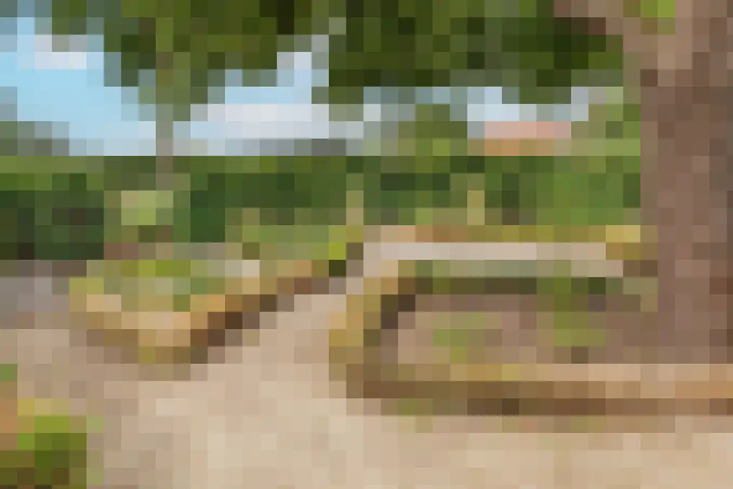 Groenestraat 5 Dodewaard thumbnail 62