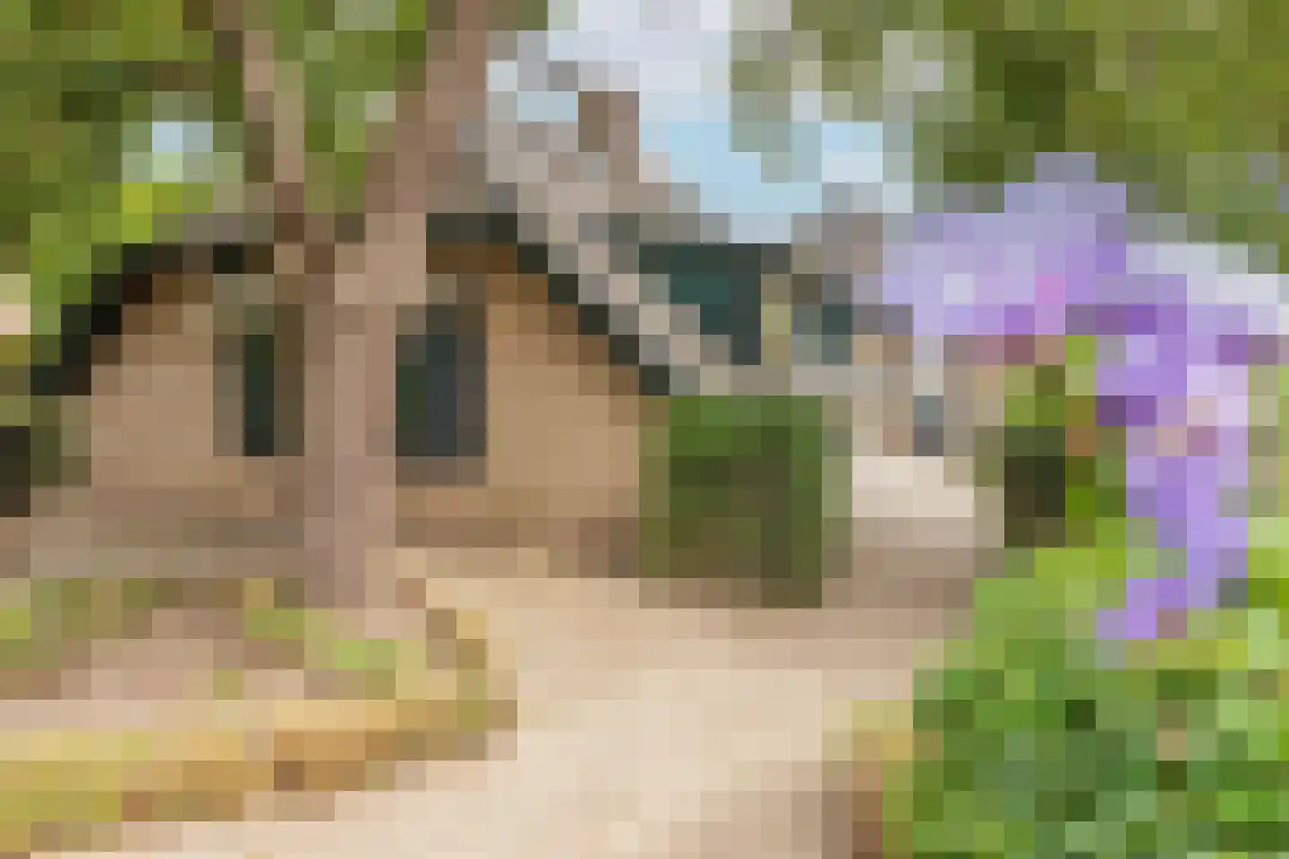 Groenestraat 5 Dodewaard thumbnail 63