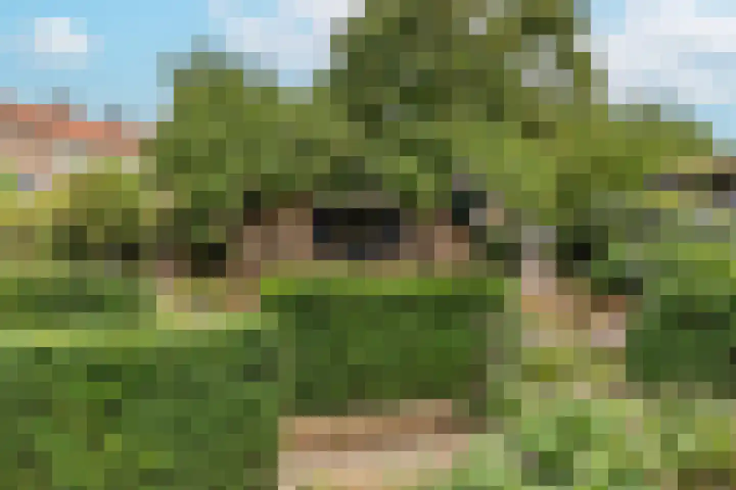 Groenestraat 5 Dodewaard thumbnail 64