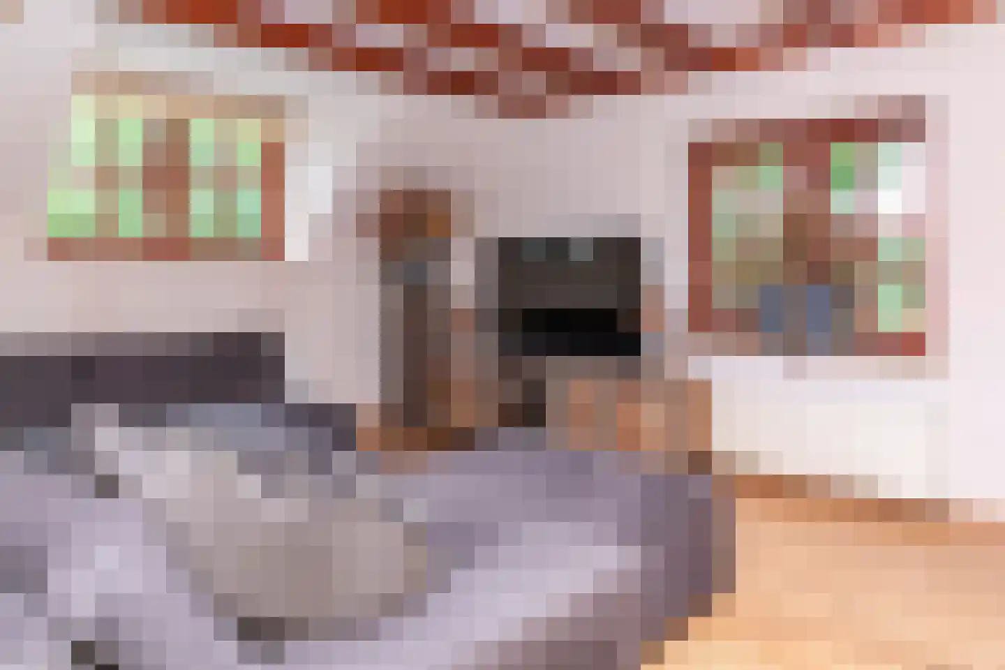 Groenestraat 5 Dodewaard thumbnail 8