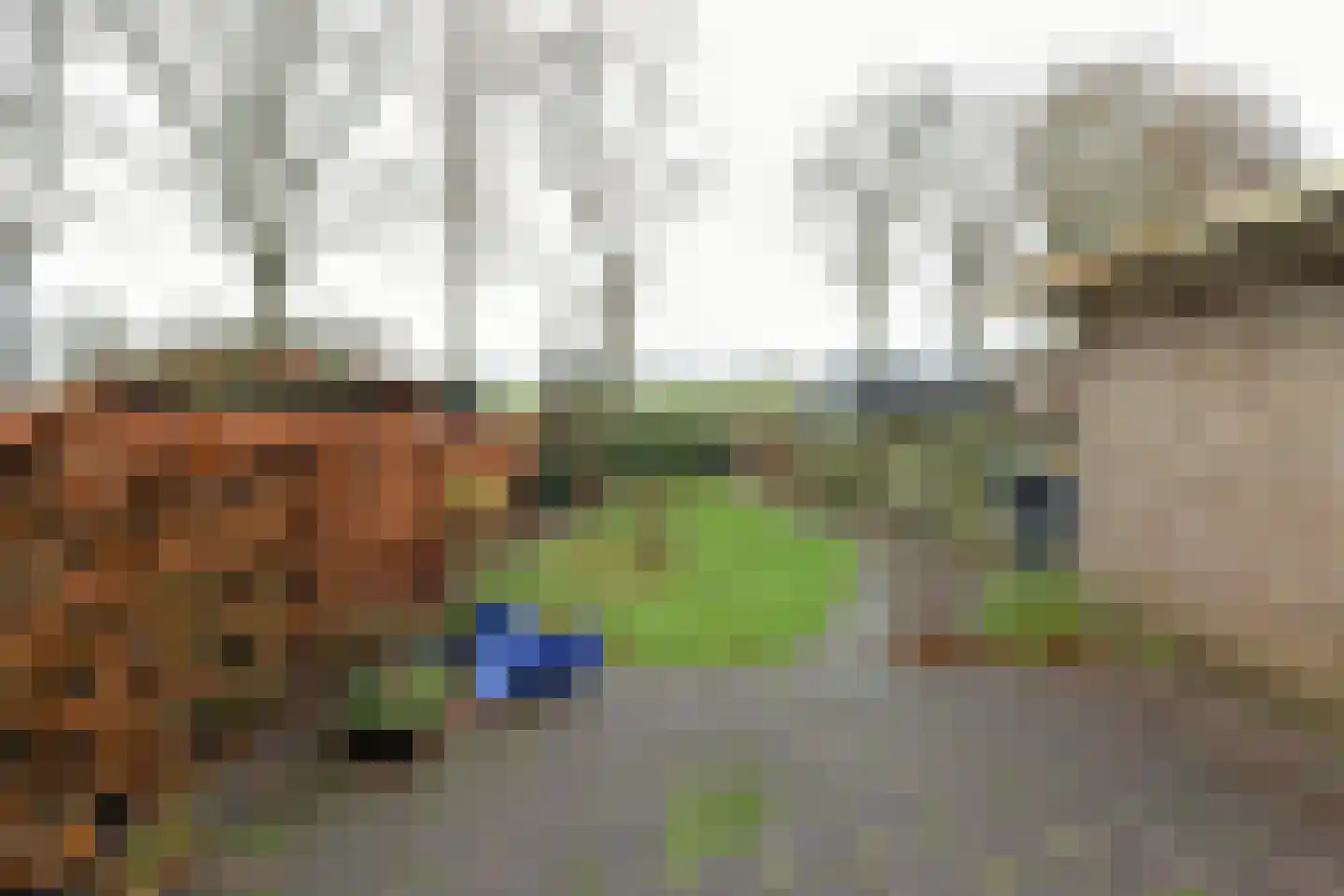 Groenestraat 50 Blokzijl thumbnail 22