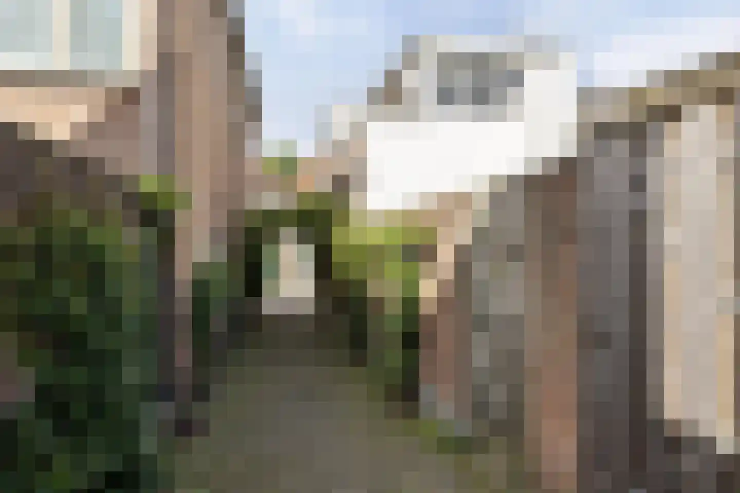 Groenestraat 51 Kampen thumbnail 24