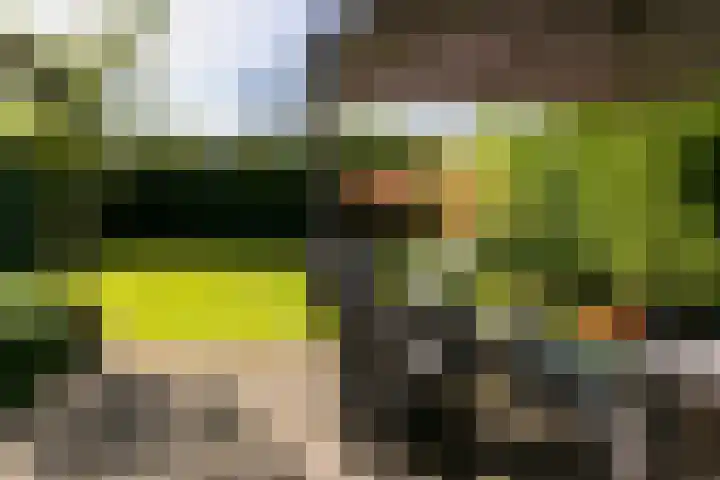 Groenestraat 6 a Rheden thumbnail 21